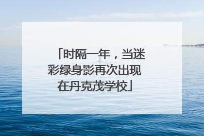 时隔一年，当迷彩绿身影再次出现在丹克茂学校
