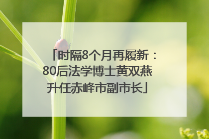 时隔8个月再履新：80后法学博士黄双燕升任赤峰市副市长