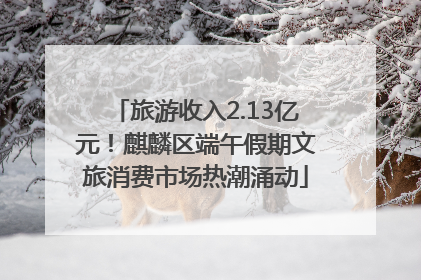旅游收入2.13亿元！麒麟区端午假期文旅消费市场热潮涌动