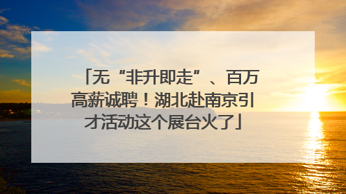 无“非升即走”、百万高薪诚聘！湖北赴南京引才活动这个展台火了