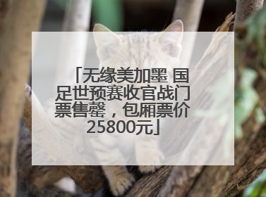 无缘美加墨 国足世预赛收官战门票售罄，包厢票价25800元