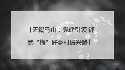 无锡马山：党建引领 铺就“梅”好乡村振兴路
