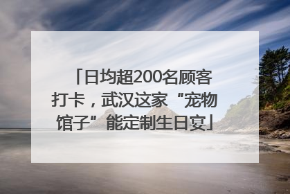 日均超200名顾客打卡，武汉这家“宠物馆子”能定制生日宴