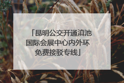 昆明公交开通滇池国际会展中心内外环免费接驳专线