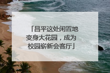 昌平这处闲置地变身大花园，成为校园崭新会客厅