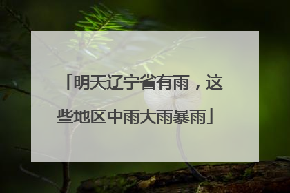 明天辽宁省有雨，这些地区中雨大雨暴雨