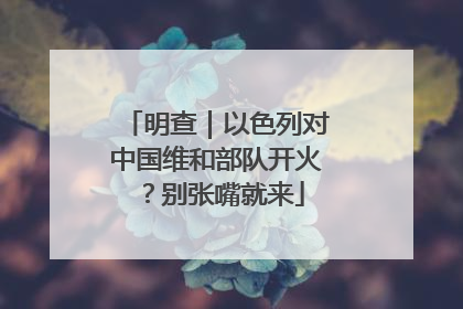 明查｜以色列对中国维和部队开火？别张嘴就来