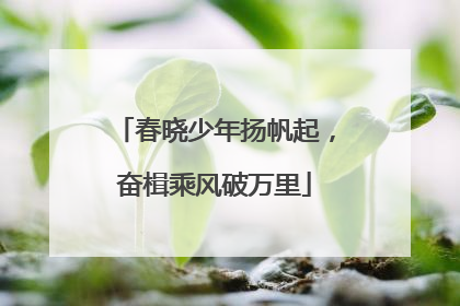 春晓少年扬帆起，奋楫乘风破万里