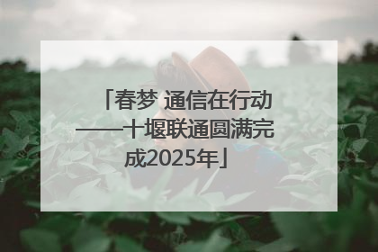 春梦 通信在行动——十堰联通圆满完成2025年