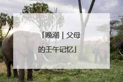 晚潮｜父母的壬午记忆