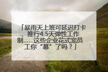 暴雨天上班可延迟打卡、推行4.5天弹性工作制……这些企业花式宠员工你“慕”了吗？