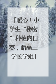 暖心！小学生“秘密”种植向日葵，赠高三学长学姐