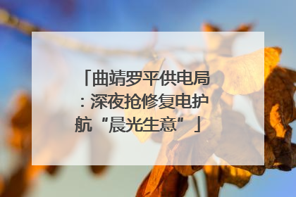 曲靖罗平供电局：深夜抢修复电护航“晨光生意”