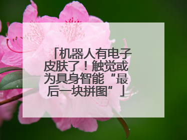 机器人有电子皮肤了！触觉或为具身智能“最后一块拼图”