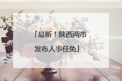 最新！陕西两市发布人事任免