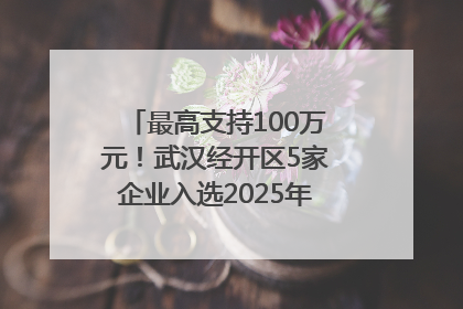 最高支持100万元！武汉经开区5家企业入选2025年度武汉市重点研发计划拟立项项目名单