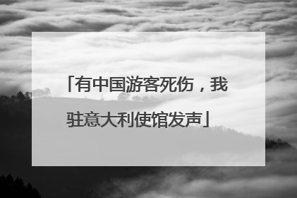 有中国游客死伤，我驻意大利使馆发声