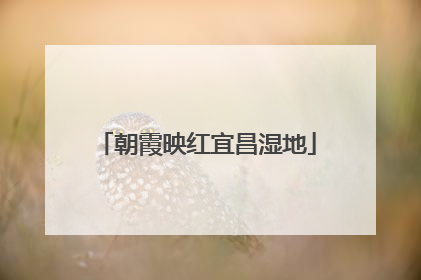 朝霞映红宜昌湿地
