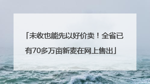 未收也能先以好价卖！全省已有70多万亩新麦在网上售出