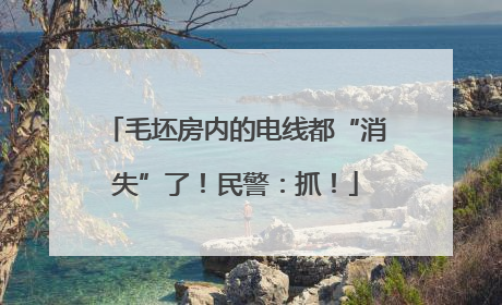 毛坯房内的电线都“消失”了！民警：抓！
