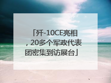 歼-10CE亮相，20多个军政代表团密集到访展台