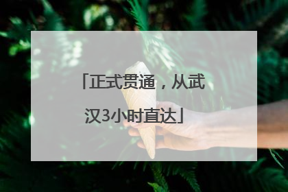 正式贯通，从武汉3小时直达