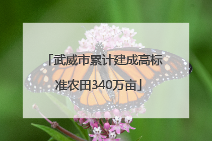 武威市累计建成高标准农田340万亩