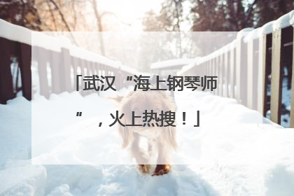 武汉“海上钢琴师”，火上热搜！