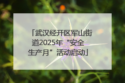 武汉经开区军山街道2025年“安全生产月”活动启动