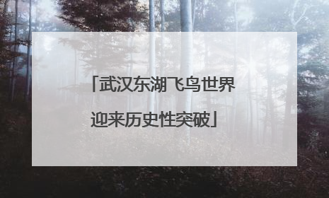 武汉东湖飞鸟世界迎来历史性突破
