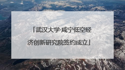 武汉大学·咸宁低空经济创新研究院签约成立