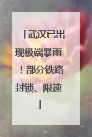 武汉已出现极端暴雨！部分铁路封锁、限速