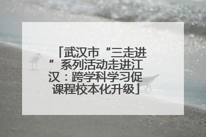 武汉市“三走进”系列活动走进江汉：跨学科学习促课程校本化升级