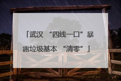 武汉 “四线一口”暴露垃圾基本 “清零”