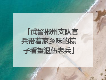武警郴州支队官兵带着家乡味的粽子看望退伍老兵