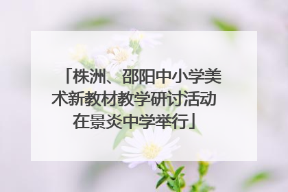 株洲、邵阳中小学美术新教材教学研讨活动在景炎中学举行
