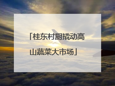 桂东村厨撬动高山蔬菜大市场