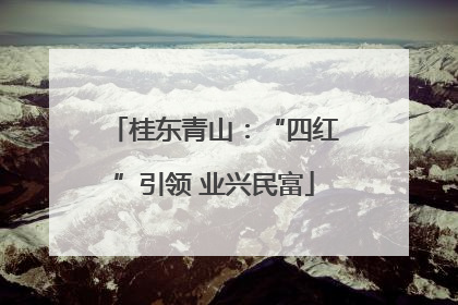 桂东青山：“四红”引领 业兴民富