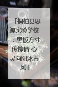 桐柏县思源实验学校：黑板方寸传粽情 心灵向阳沐古风