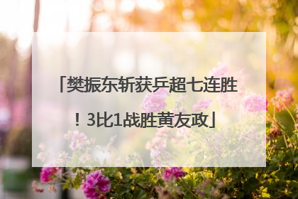 樊振东斩获乒超七连胜！3比1战胜黄友政