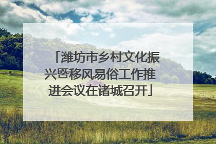 潍坊市乡村文化振兴暨移风易俗工作推进会议在诸城召开