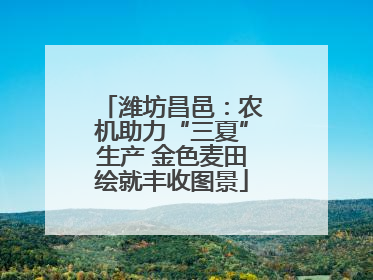 潍坊昌邑：农机助力“三夏”生产 金色麦田绘就丰收图景