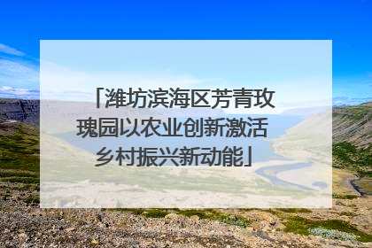 潍坊滨海区芳青玫瑰园以农业创新激活乡村振兴新动能