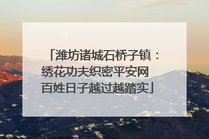 潍坊诸城石桥子镇：绣花功夫织密平安网 百姓日子越过越踏实