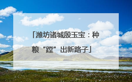 潍坊诸城殷玉宝：种粮“蹚”出新路子
