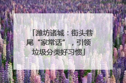 潍坊诸城：街头巷尾“家常话”，引领垃圾分类好习惯