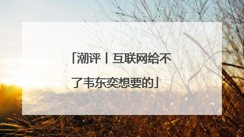 潮评丨互联网给不了韦东奕想要的