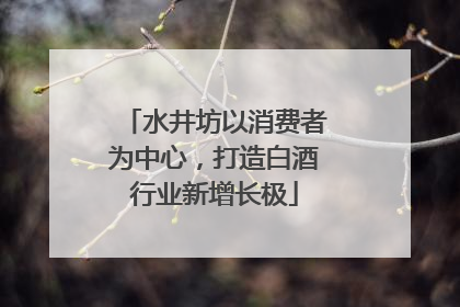 水井坊以消费者为中心，打造白酒行业新增长极