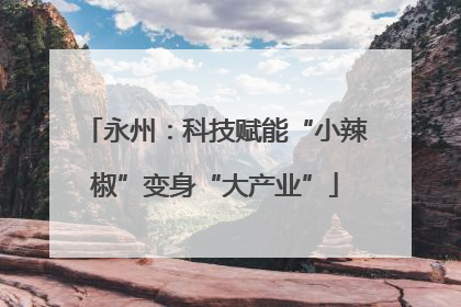 永州：科技赋能“小辣椒”变身“大产业”