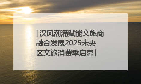 汉风潮涌赋能文旅商融合发展2025未央区文旅消费季启幕